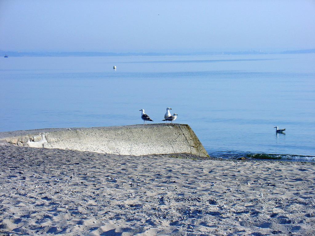 Machedanz Timmendorfer Timmendorfer Strand